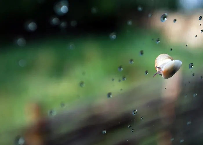 ゲストハウス Karaivan *